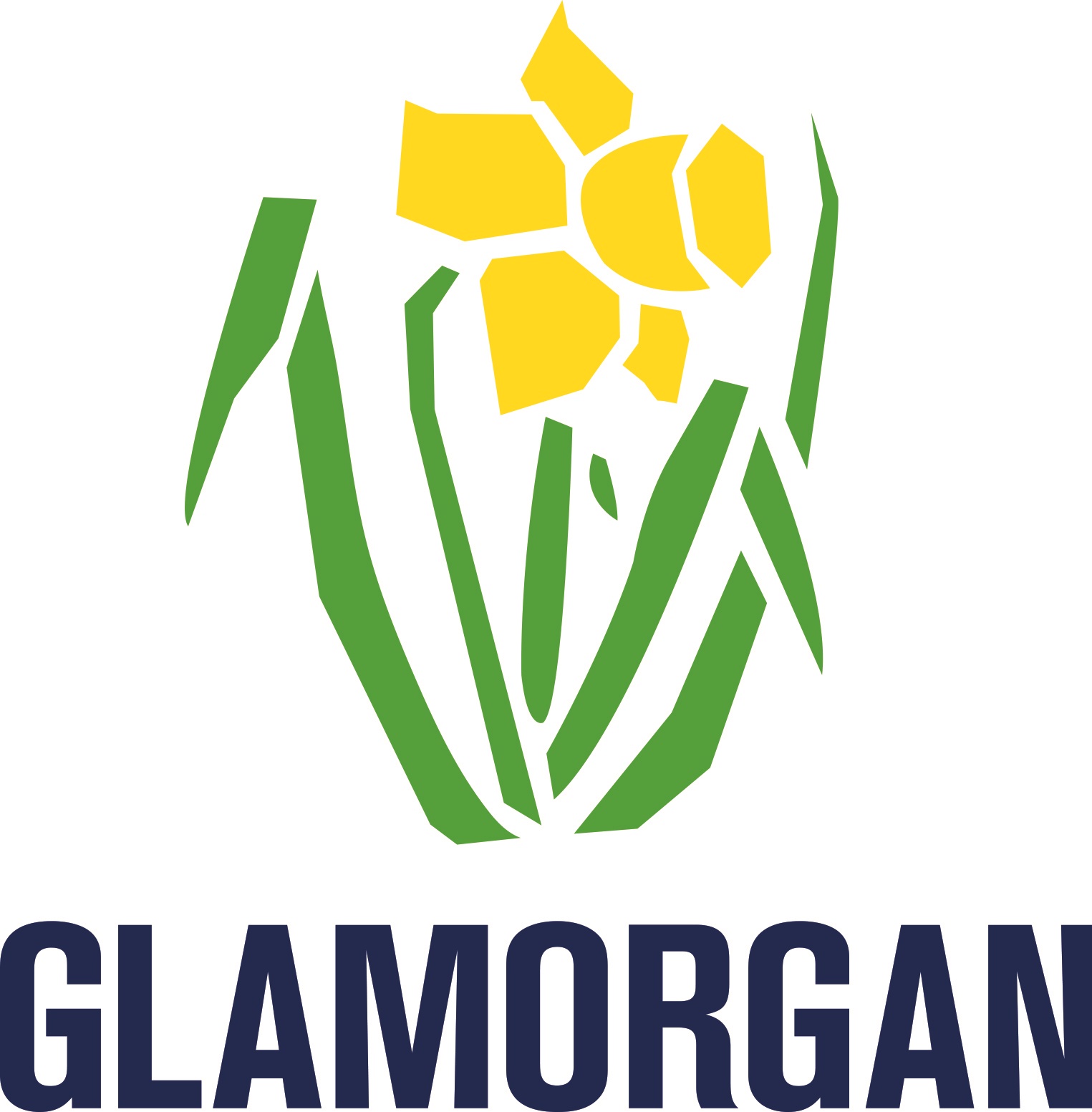 A legacy for Cricket in Wales