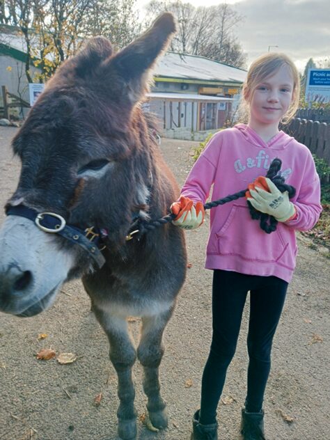 A young girl standing next to a donkey and holding its reins.